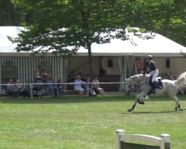 Reitturnier Zobbenitz 2019