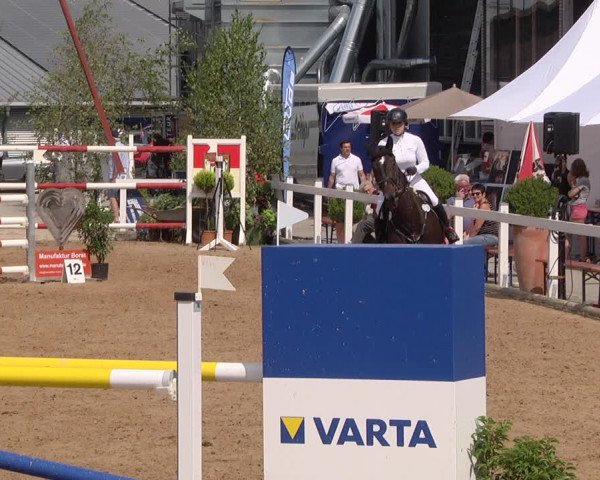 Reitturnier Jagstzell 2019