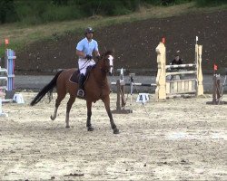 Zuchtstute Utopia du Rouet (Selle Français, 2008, von Pezetas du Rouet)