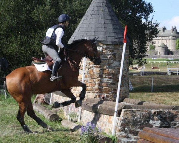 jumper Torpille du Rouet (Selle Français, 2007, from Luccianno)