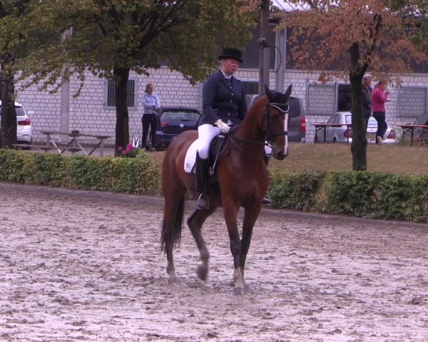Reitturnier Olfen-Vinnum 2019
