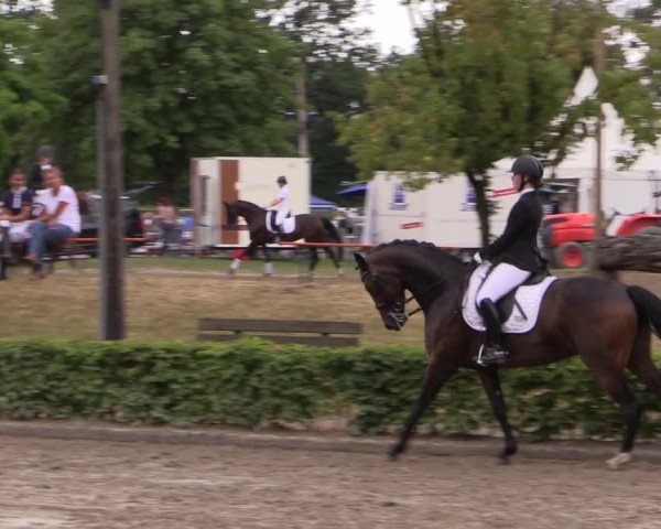 Reitturnier Olfen-Vinnum 2019