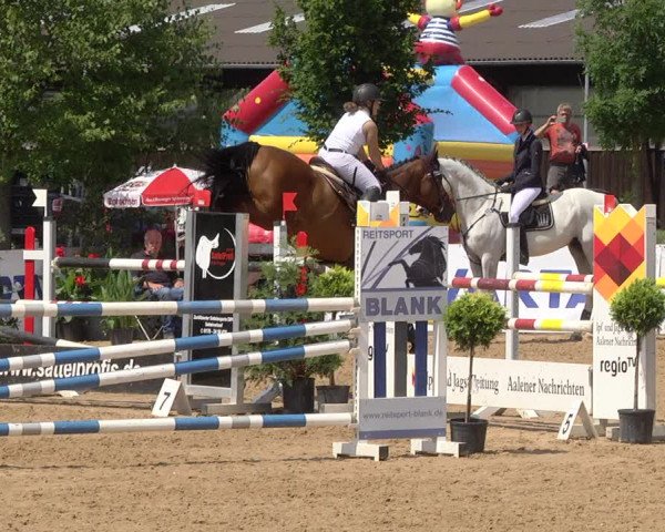 Reitturnier Jagstzell 2019