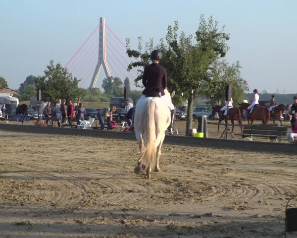 Reitturnier Neuss-Uedesheim 2019