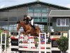 jumper For Surprise 2 (Oldenburg show jumper, 2006, from For Pleasure)