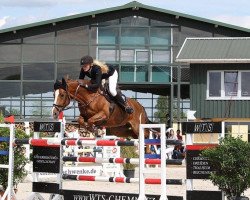 jumper For Surprise 2 (Oldenburg show jumper, 2006, from For Pleasure)