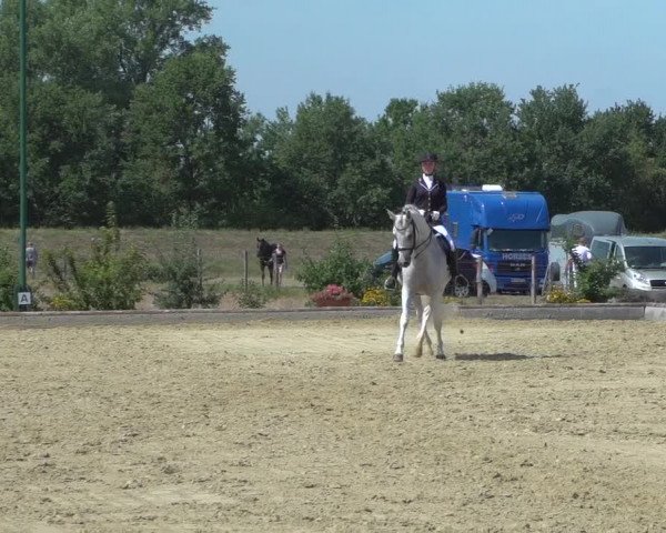 Reitturnier Neuss-Uedesheim 2019
