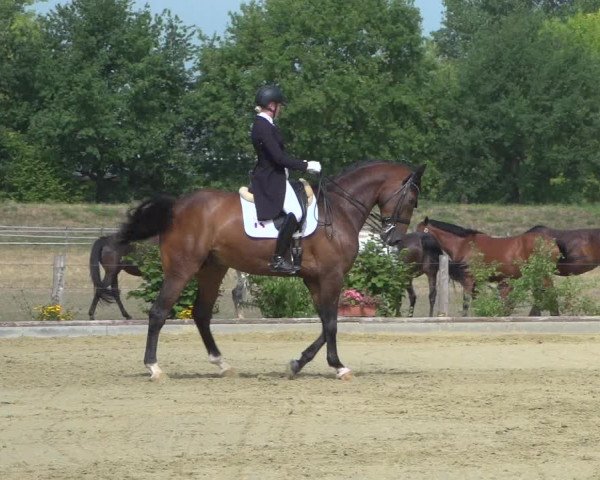 Reitturnier Neuss-Uedesheim 2019