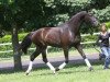 dressage horse Fürst Sunshine (Oldenburg, 2010, from Fürst Romancier)