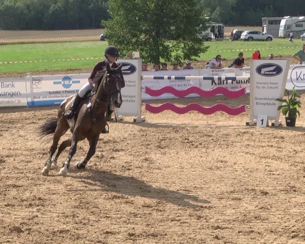 Reitturnier Jagstzell 2019