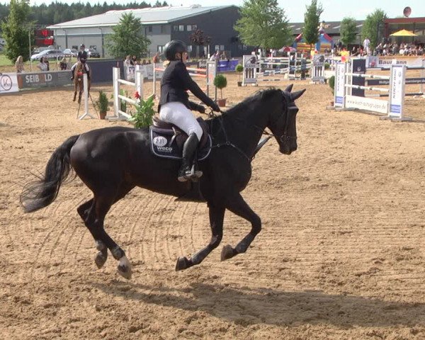 Reitturnier Jagstzell 2019