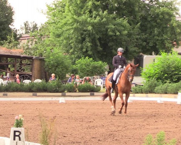 Reitturnier Dallgow 2019
