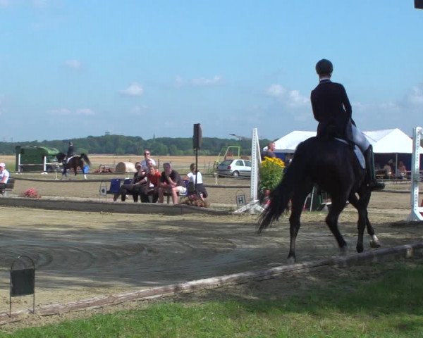 Reitturnier Neuss-Uedesheim 2019