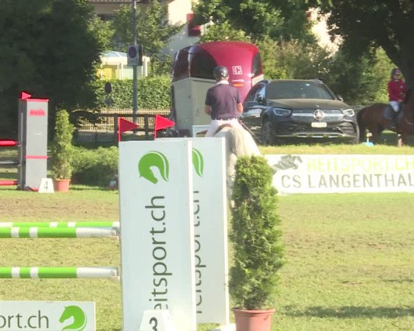 Reitturnier Langenthal 2019