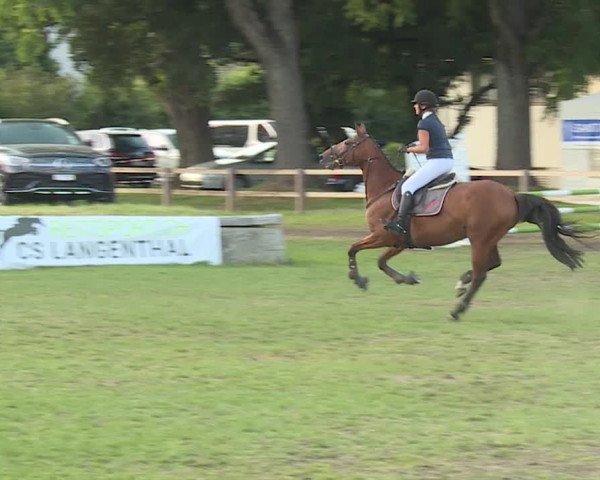 Reitturnier Langenthal 2019