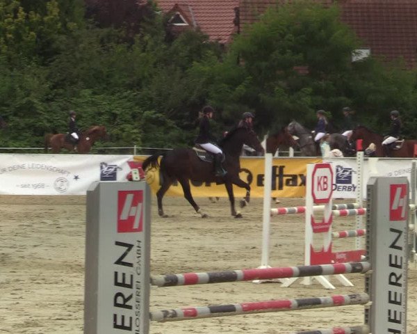 Reitturnier Ascheberg 2021