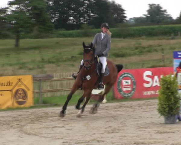 Reitturnier Schülp / Rendsburg 2019