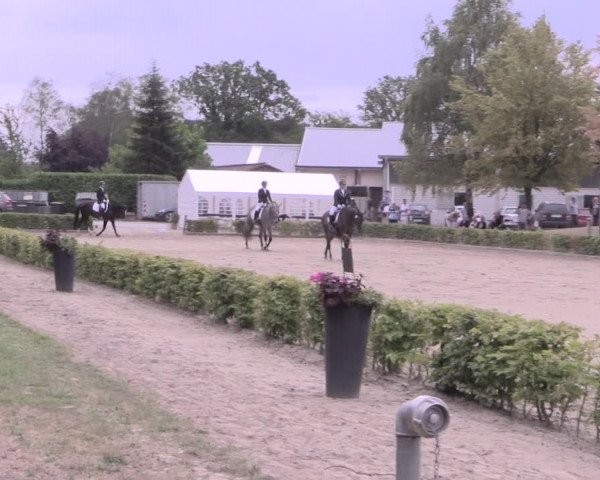 Reitturnier Olfen-Vinnum 2019