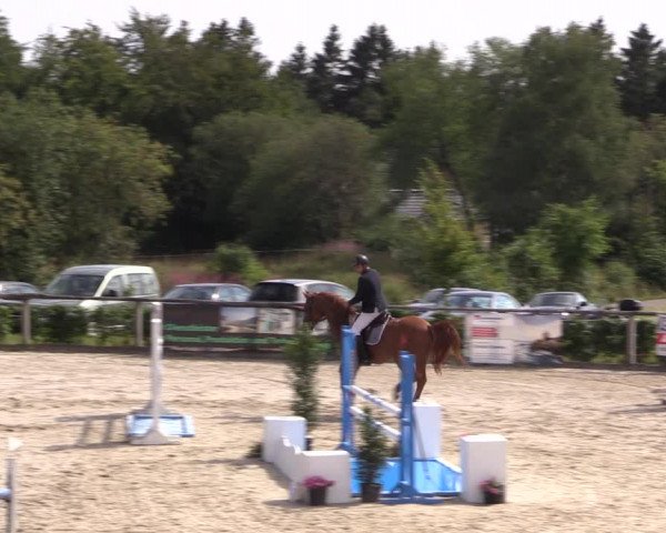 Reitturnier Monschau-Mützenich 2019