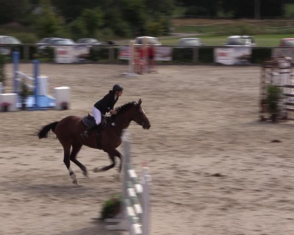 Reitturnier Monschau-Mützenich 2019