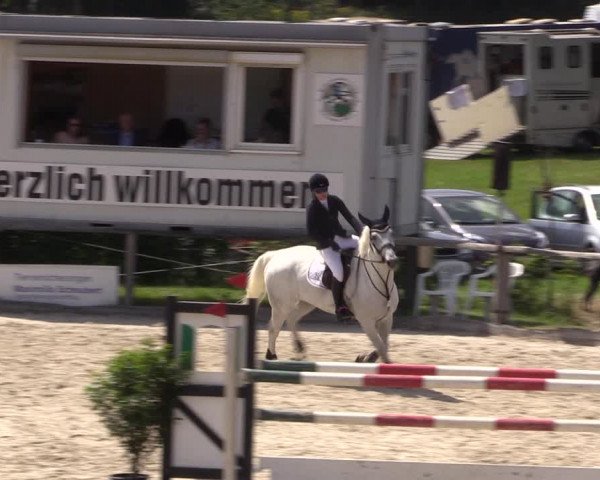 Reitturnier Monschau-Mützenich 2019