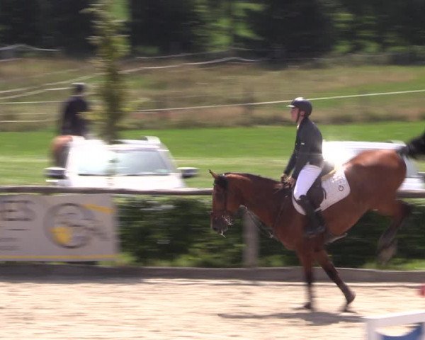 Reitturnier Monschau-Mützenich 2019