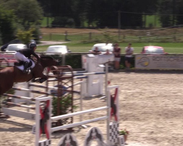 Reitturnier Monschau-Mützenich 2019