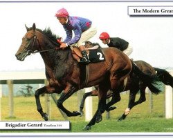 stallion Brigadier Gerard xx (Thoroughbred, 1968, from Queen's Hussar xx)