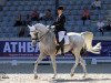 dressage horse Haifi El Sorrento ox (Arabian thoroughbred, 2005, from BS Specific ox)