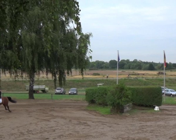 Reitturnier Neuss-Uedesheim 2019