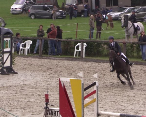 Reitturnier Monschau-Mützenich 2019