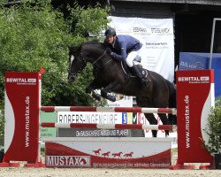 jumper Curly Sue (KWPN (Royal Dutch Sporthorse), 2001, from Hemmingway)