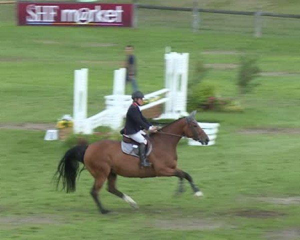 jumper Aisance du Rouet (Selle Français, 2010, from Luccianno)