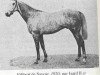 stallion Filibert de Savoie xx (Thoroughbred, 1920, from Isard xx)