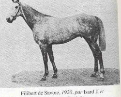 stallion Filibert de Savoie xx (Thoroughbred, 1920, from Isard xx)