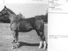 stallion Fantastic xx (Thoroughbred, 1933, from Aethelstan xx)