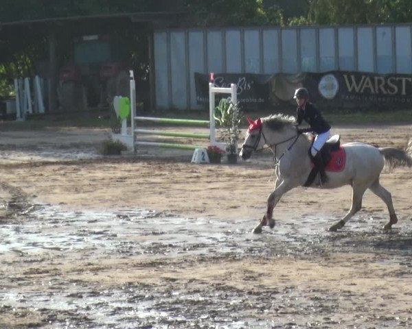 Reitturnier Neuss-Uedesheim 2019