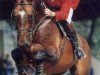 stallion Caloubet du Rouet (Selle Français, 1990, from Galoubet A)