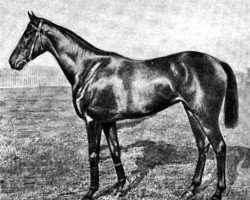 broodmare Lucie xx (Thoroughbred, 1897, from Melton xx)