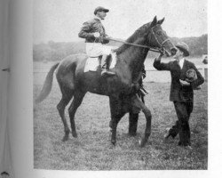 stallion Pampeiro xx (Thoroughbred, 1932, from Blenheim II xx)