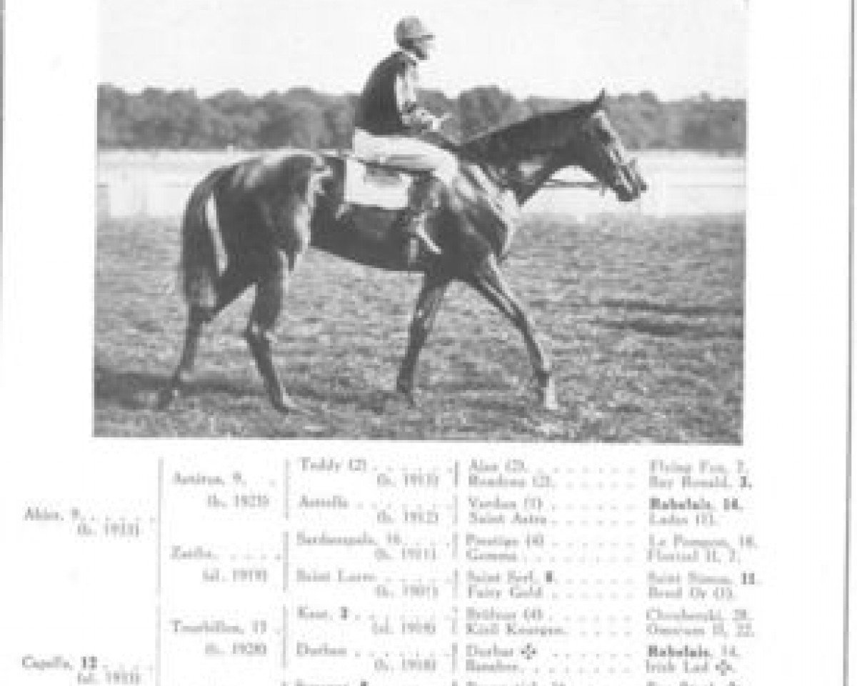 stallion Nosca xx (Thoroughbred, 1939, from Abjer xx)