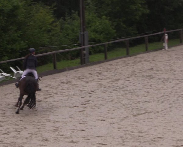 Reitturnier Monschau-Mützenich 2019