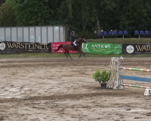 Reitturnier Neuss-Uedesheim 2019