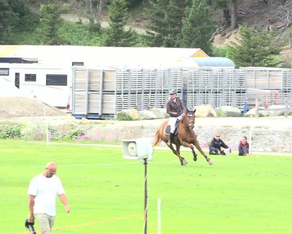 Reitturnier St. Moritz 2019