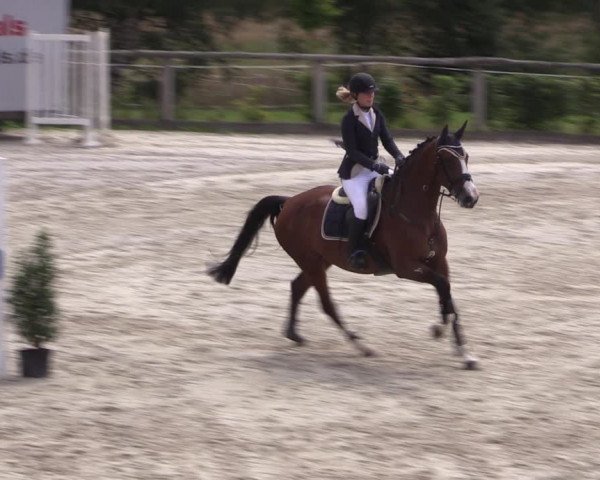 Reitturnier Monschau-Mützenich 2019