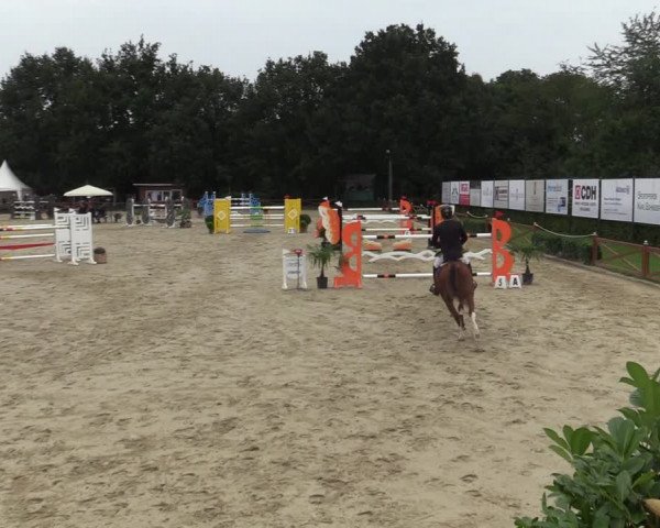 Equus Colonius - Reitanlage Brüse Köln 2021