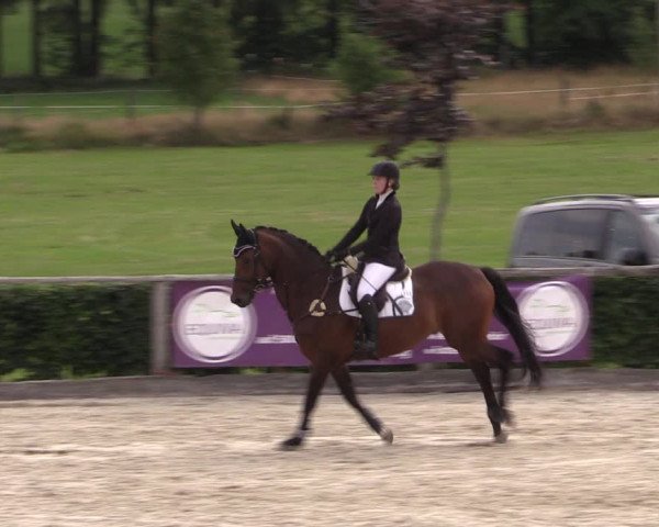 Reitturnier Monschau-Mützenich 2019