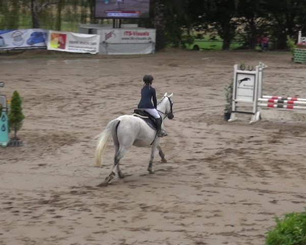 Reitturnier Neuss-Uedesheim 2019