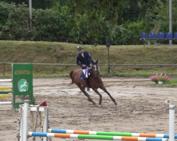 Reitturnier Neuss-Uedesheim 2019