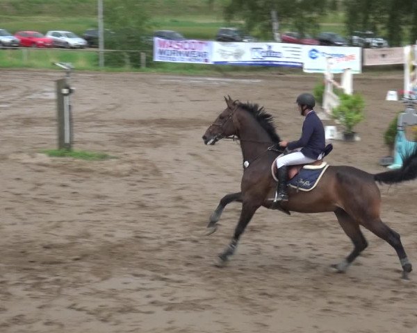 Reitturnier Neuss-Uedesheim 2019
